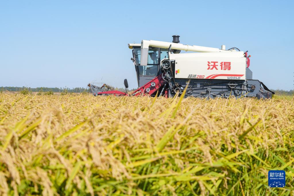 银钻娱乐缅甸怎么样